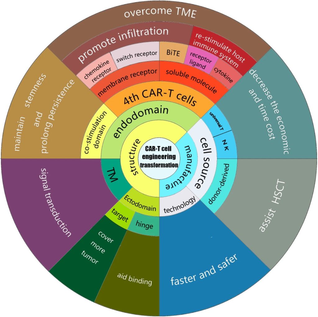 Navigating the Landscape of CAR-T Cell Engineering with Antibody Discovery