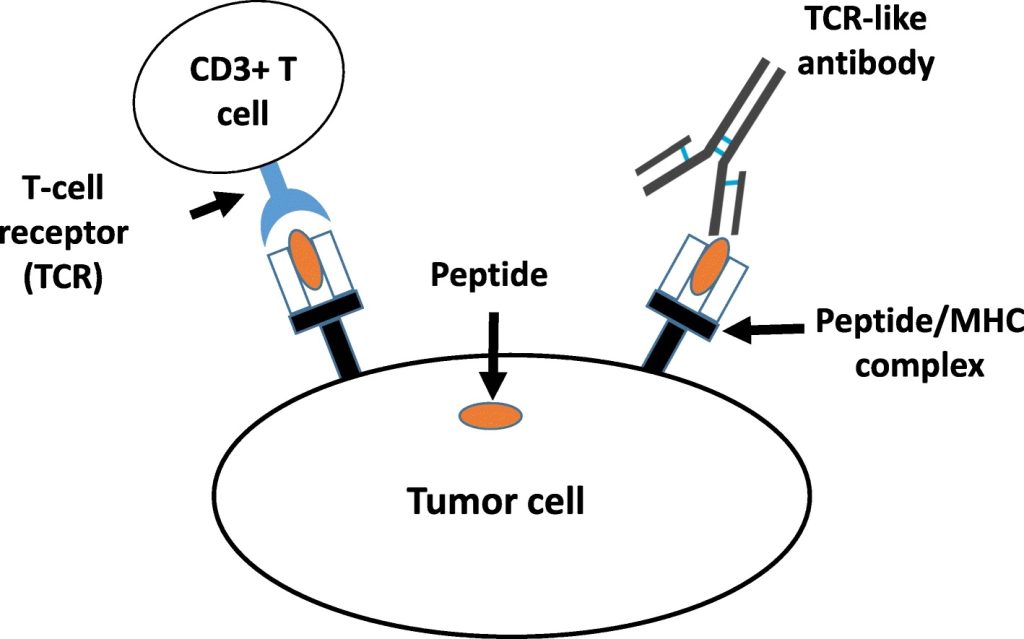 DOI: 10.1186/s13045-019-0788-4