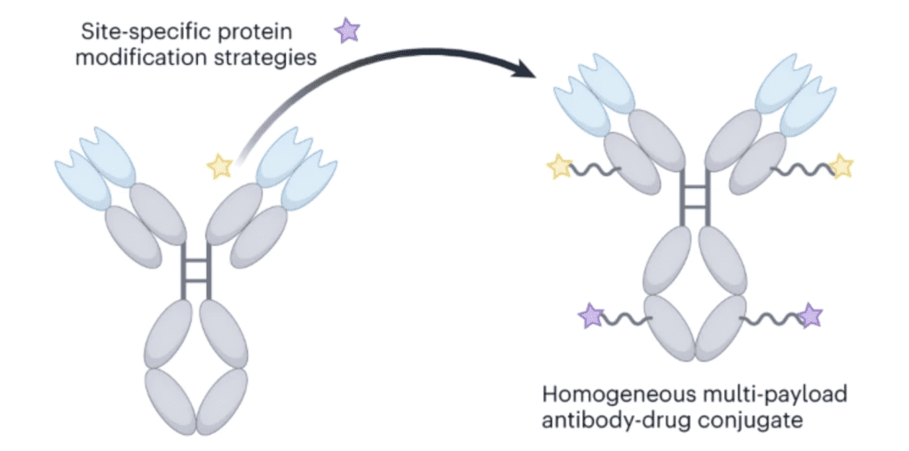 DOI:10.1038/s41557-024-01507-y