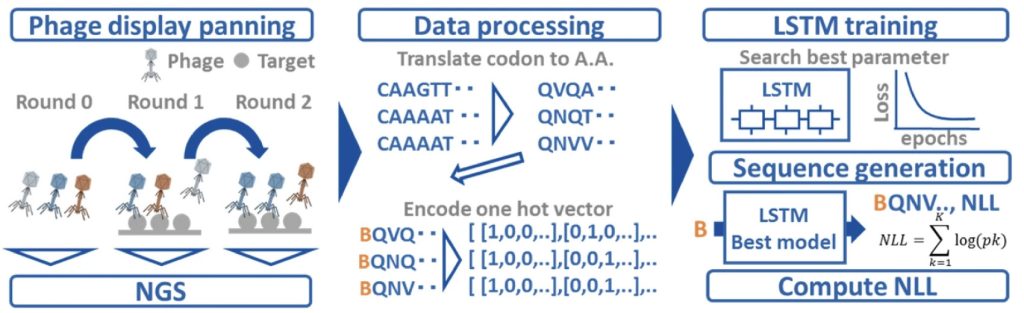 Antibody design using LSTM-based deep generative model from phage display library for affinity maturation