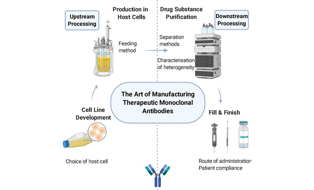 DOI: 10.1016/j.ijpharm.2020.120164