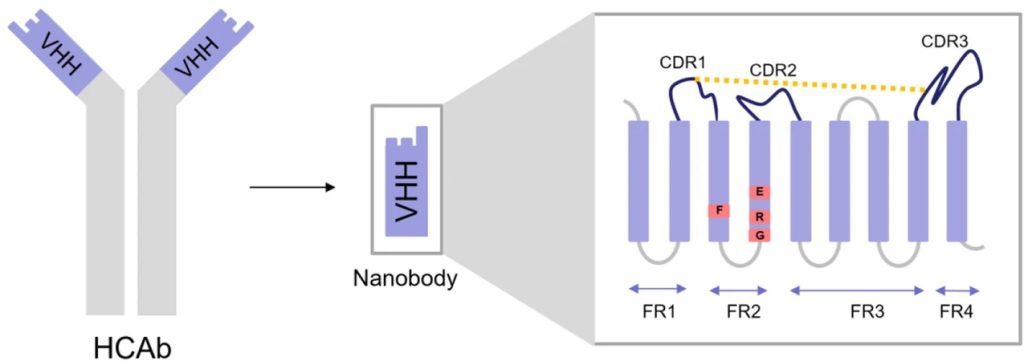 DOI:10.1186/s40364-021-00332-6