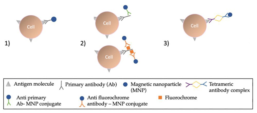 DOI: 10.3390/magnetochemistry8010011