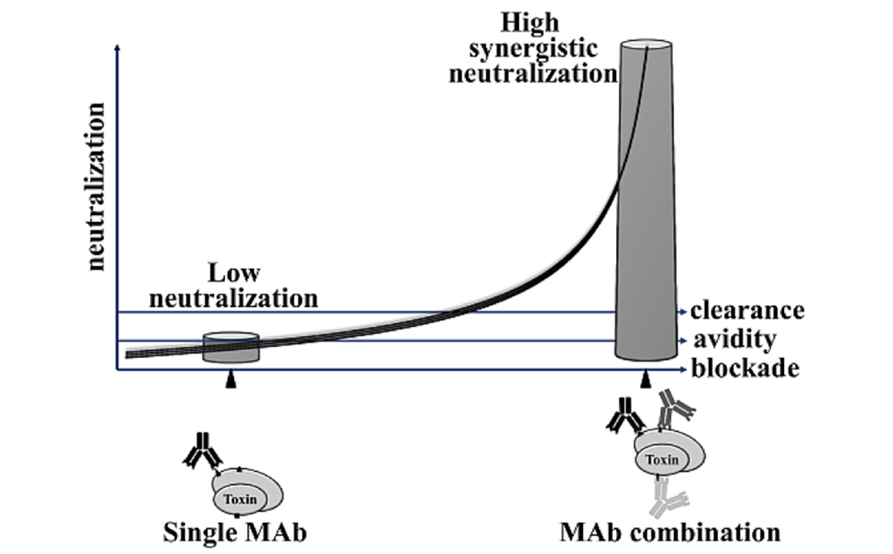 DOI: 10.3390/toxins7061854