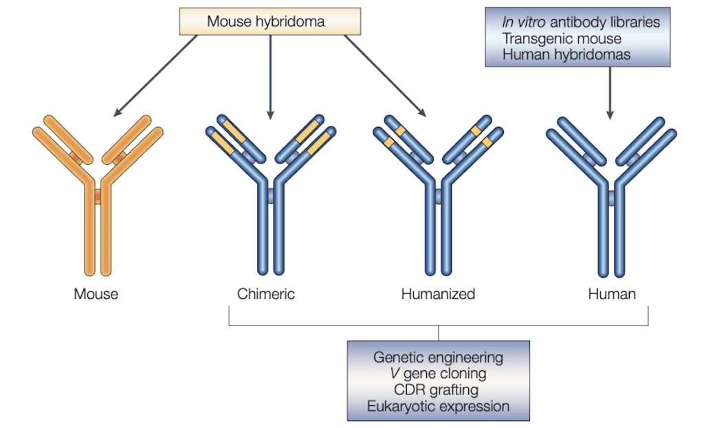 DOI:10.1038/nrd984