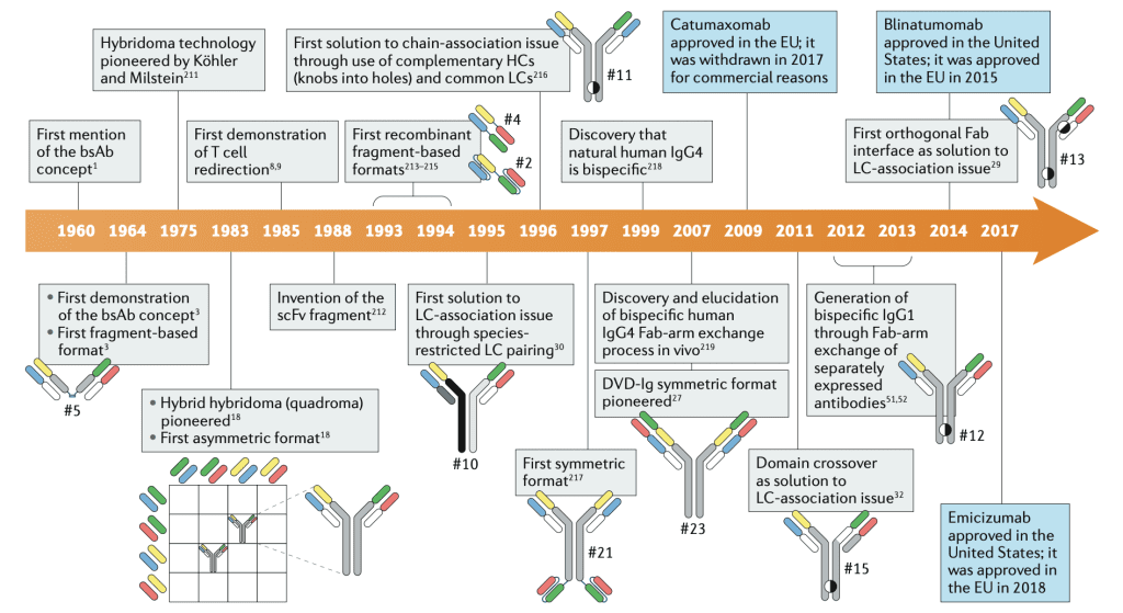 双特异性抗体创新时间表。DOI： 10.1038/s41573-019-0028-1