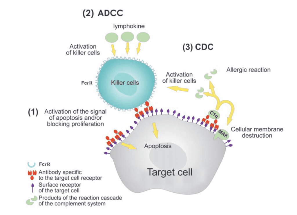 DOI:10.32607/20758251-2009-1-1-32-50