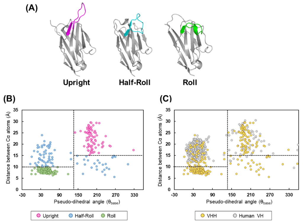 DOI:10.3390/antib11010010